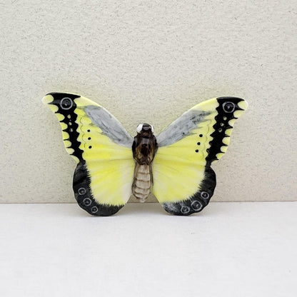 Butterfly: Yellow & Black Home Decor