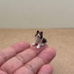 Tiny Miniature Dogs