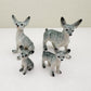 Mini Chihuahua Set