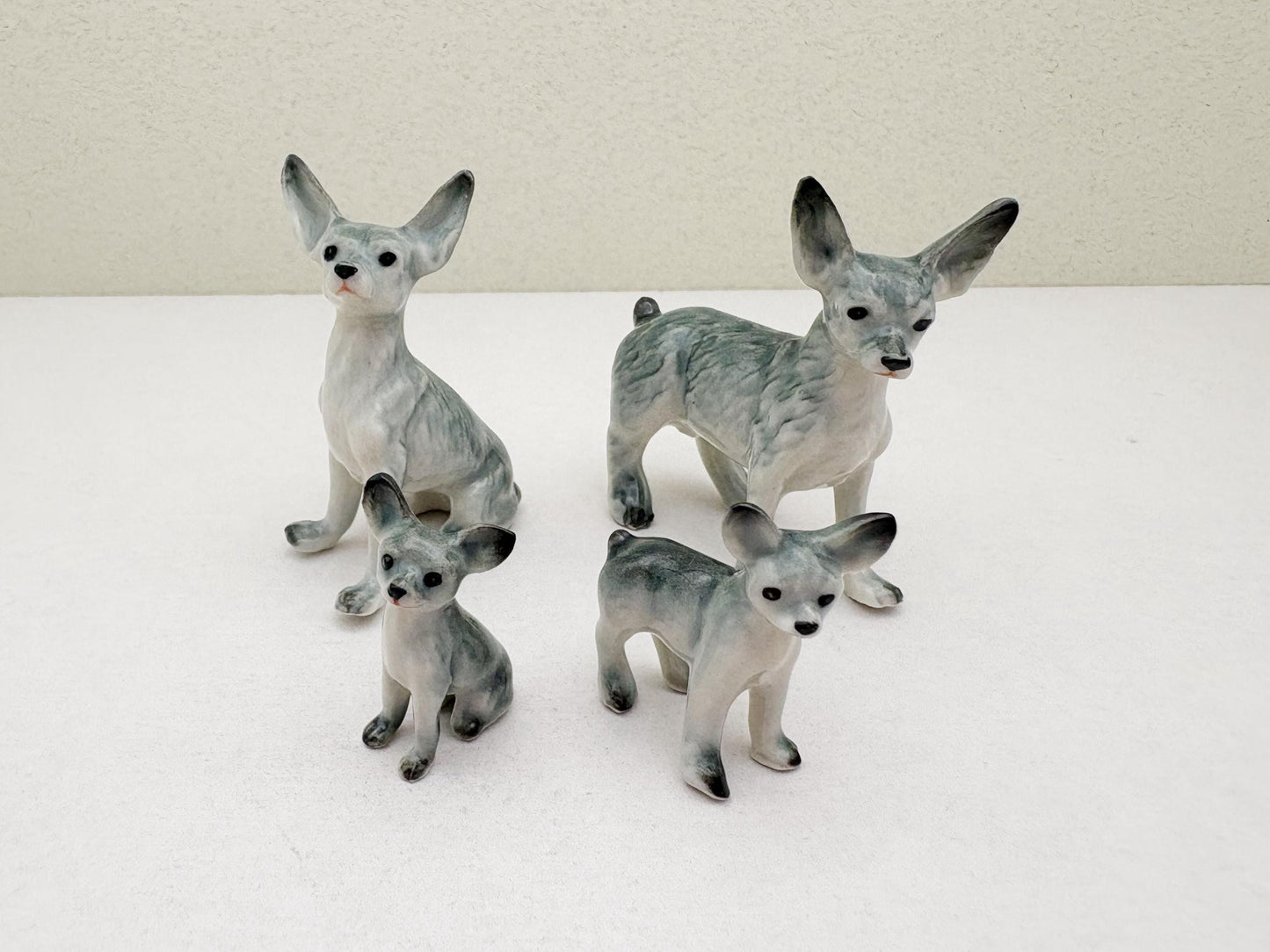 Mini Chihuahua Set
