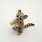 Playful Tabby