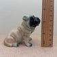 2 Shar Pei