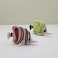 Tropical Butterflyfish