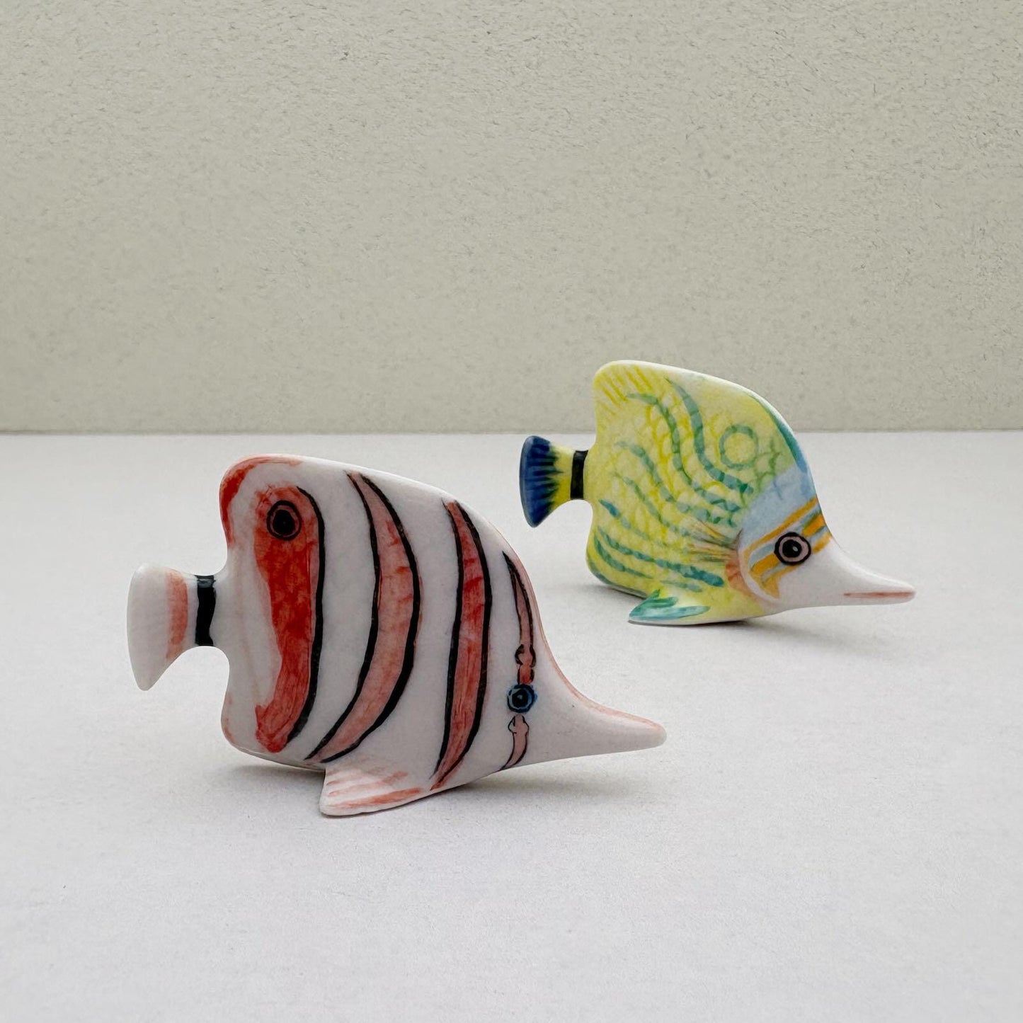 Tropical Butterflyfish