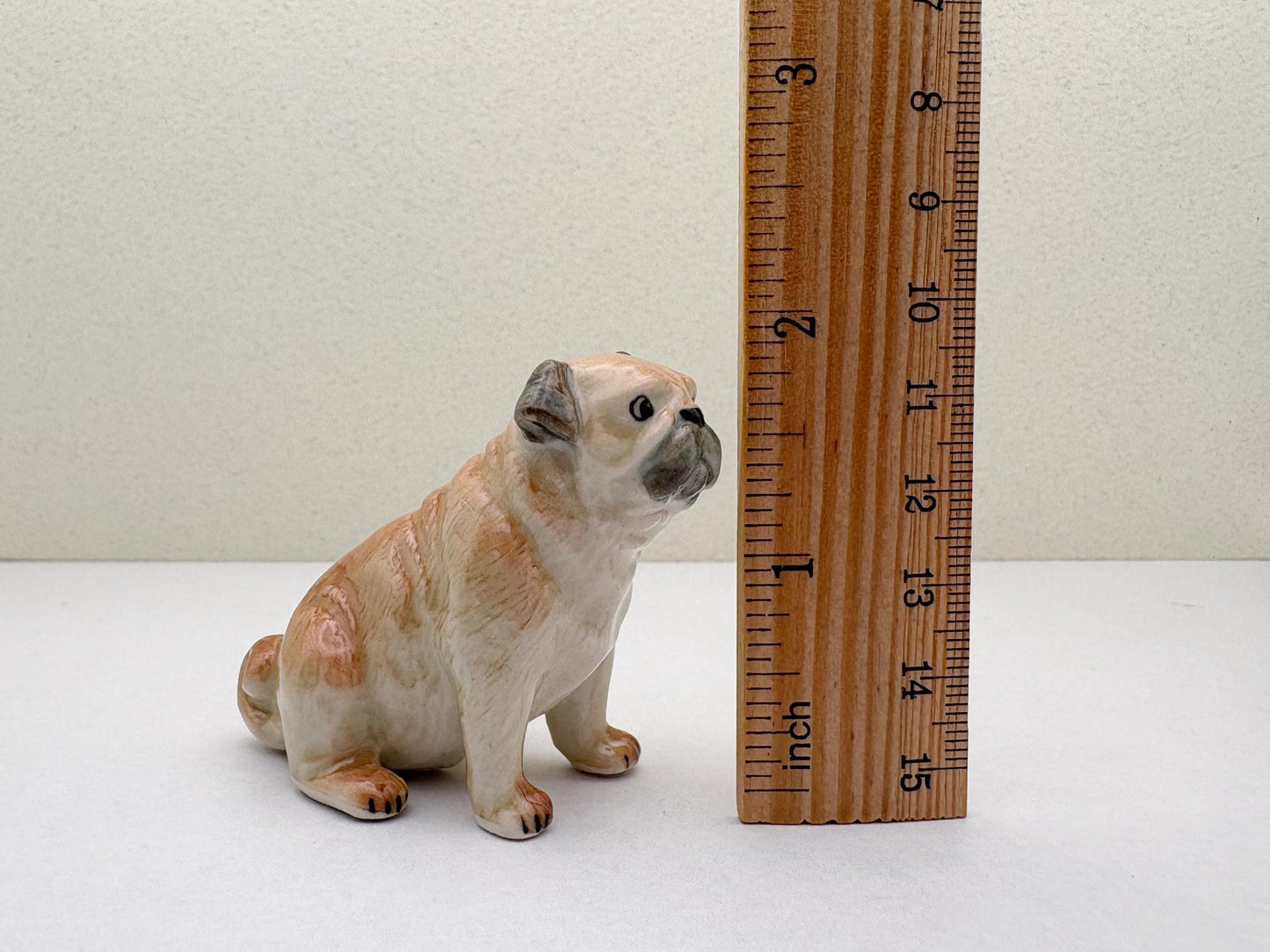 Classic Fawn Pugs