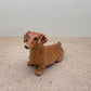Brown Wiener Dachshund