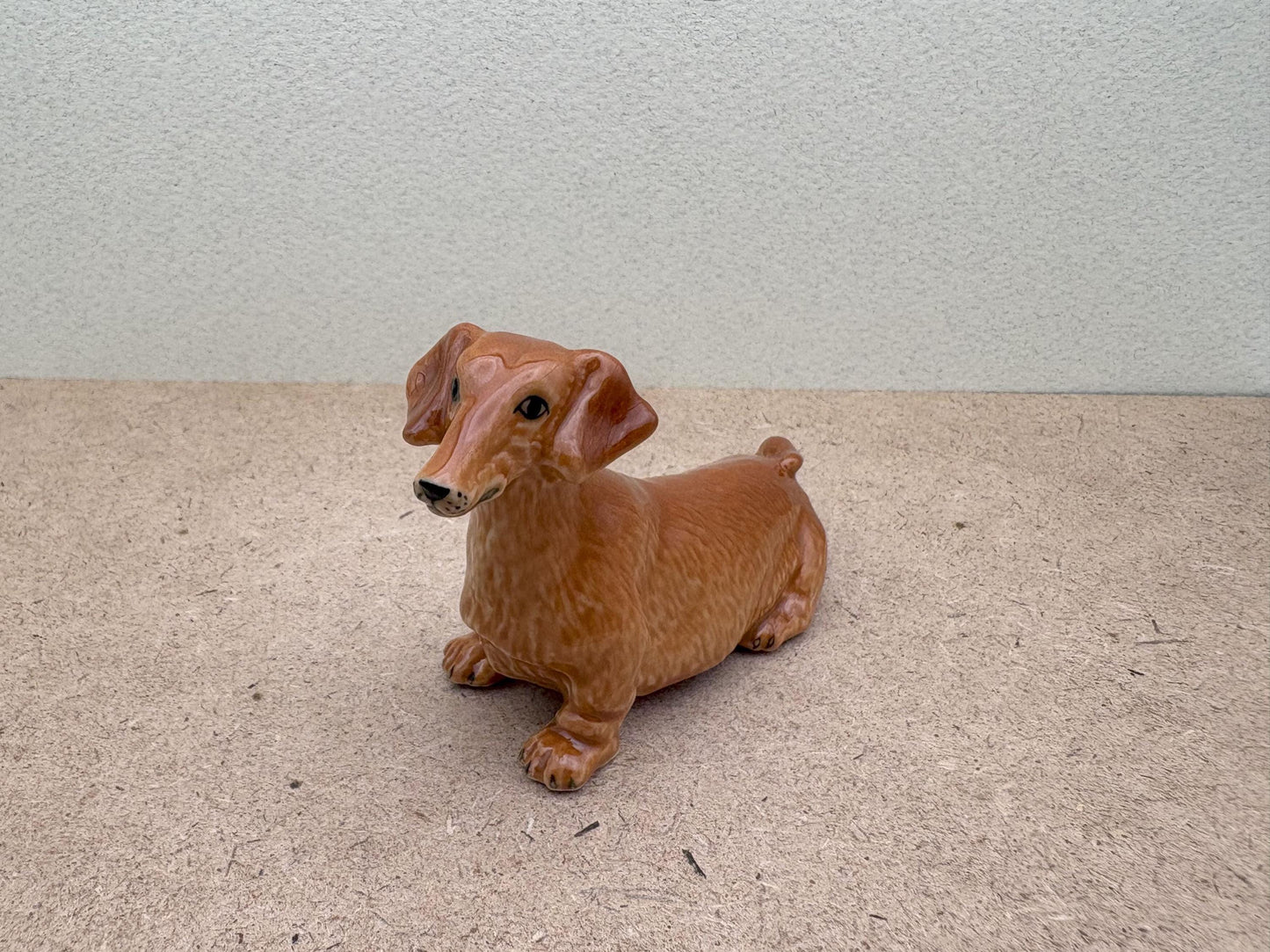 Brown Wiener Dachshund