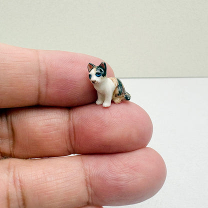 Tiny Tabby Cat