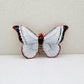 Butterfly: Yellow & Black Home Decor