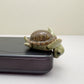 Green Turtle