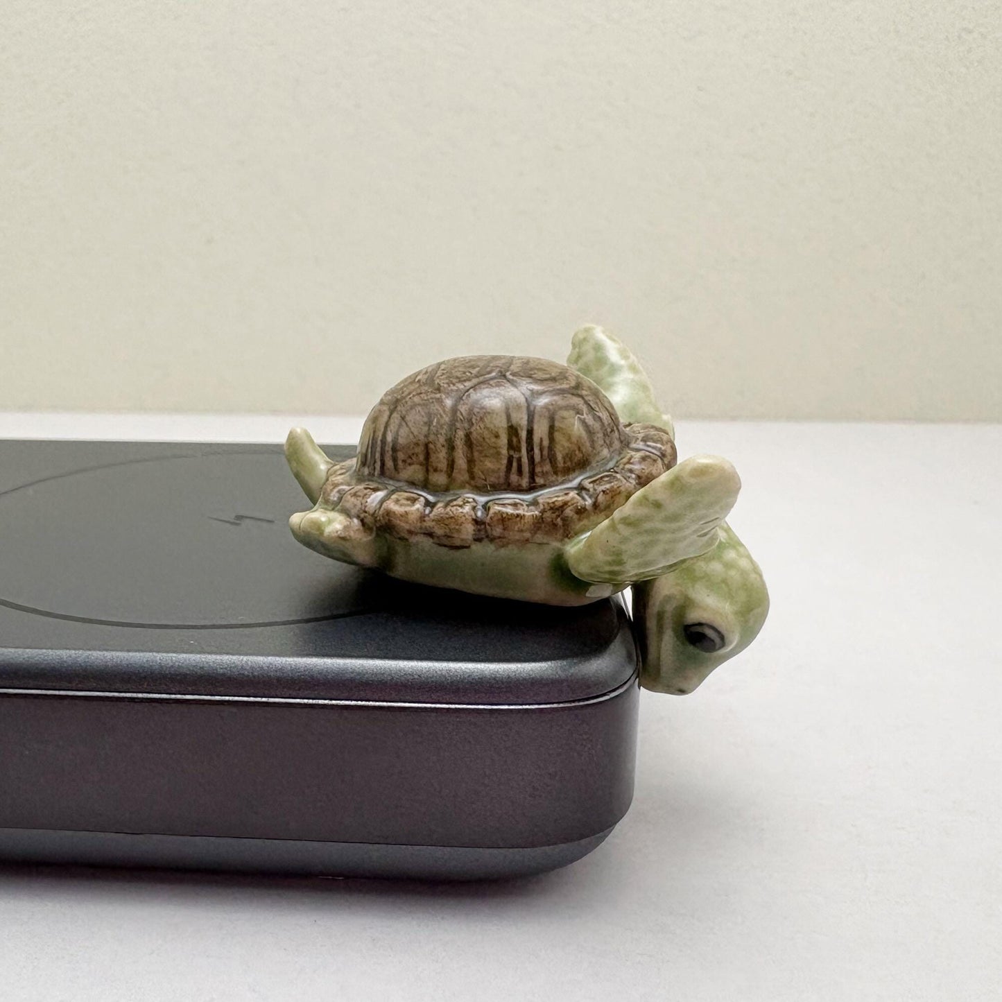 Green Turtle