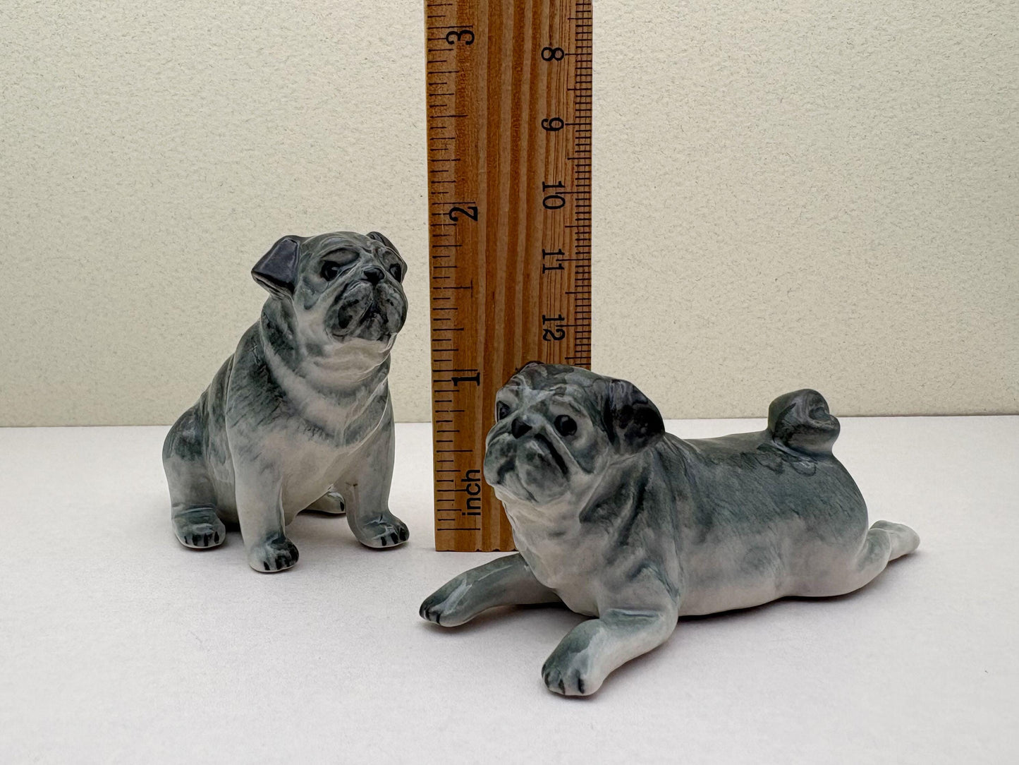 Sleek Black Pugs