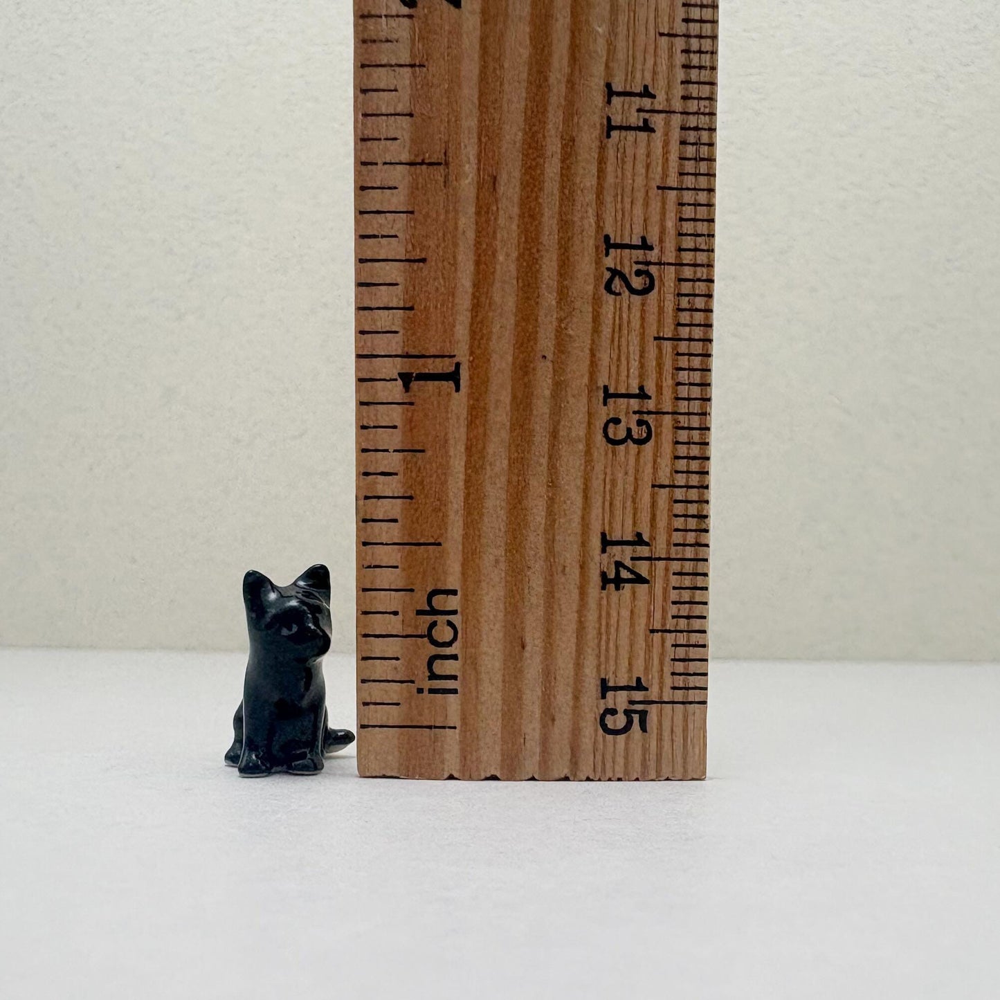 The Shadow Kitten