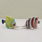 Tropical Butterflyfish