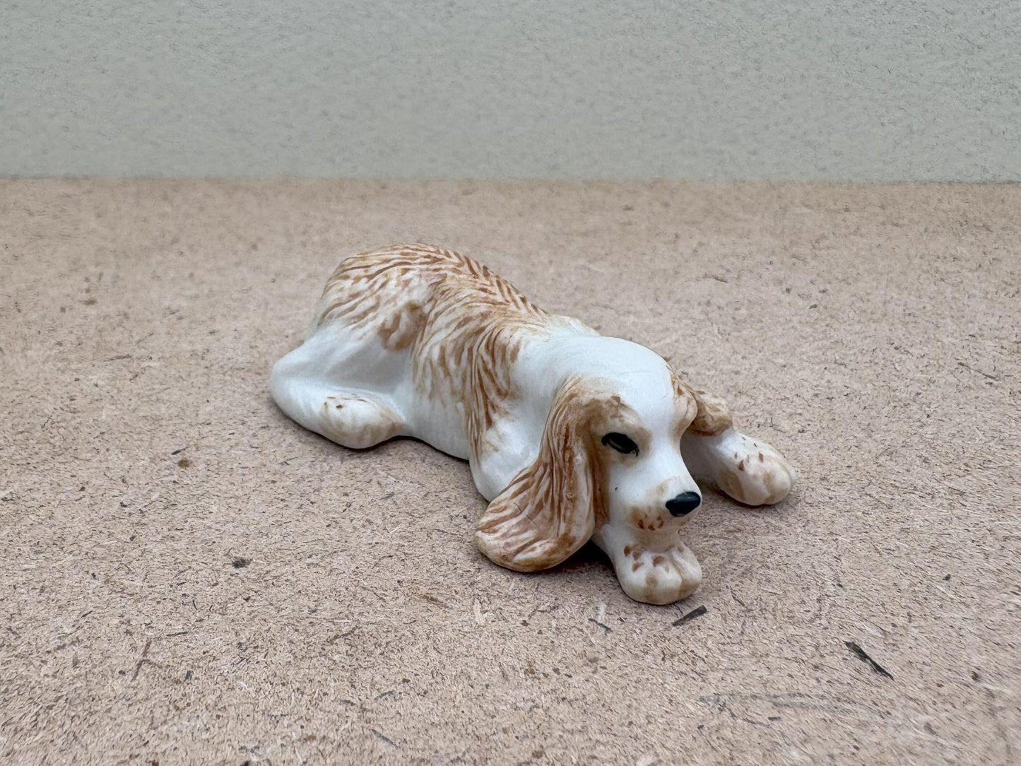 Sleeping Cocker Spaniel