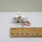 Tiny White Mouse