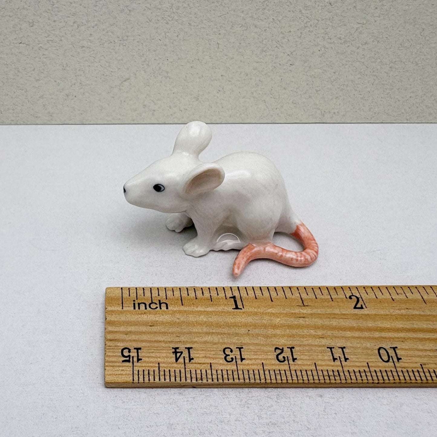 Tiny White Mouse
