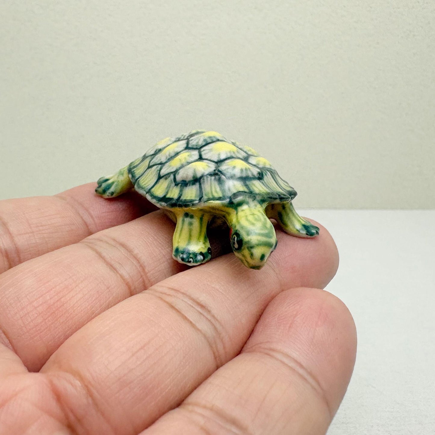 Red-Eared Slider Turtle