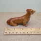 Brown Wiener Dachshund
