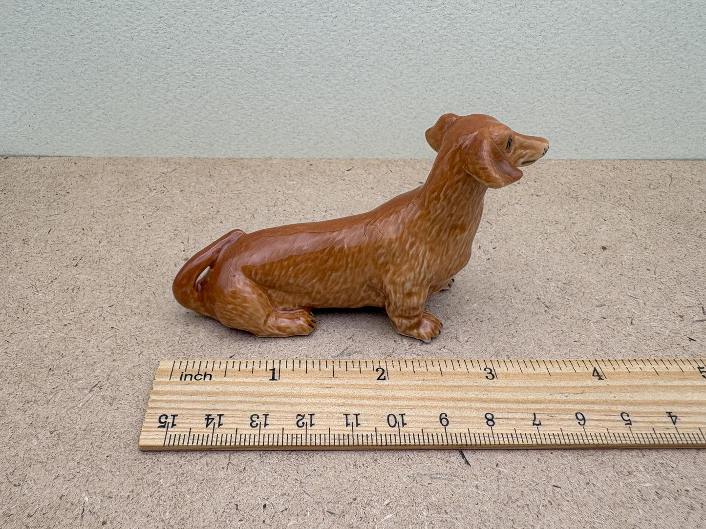 Brown Wiener Dachshund