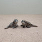 2 Otters