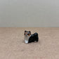 Tiny Miniature Dogs