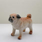 Classic Fawn Pugs