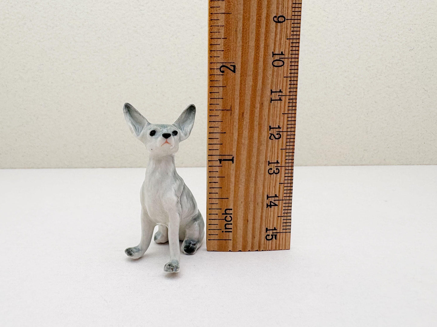 Mini Chihuahua Set