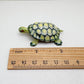 Red-Eared Slider Turtle