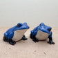 2 Blue Frogs