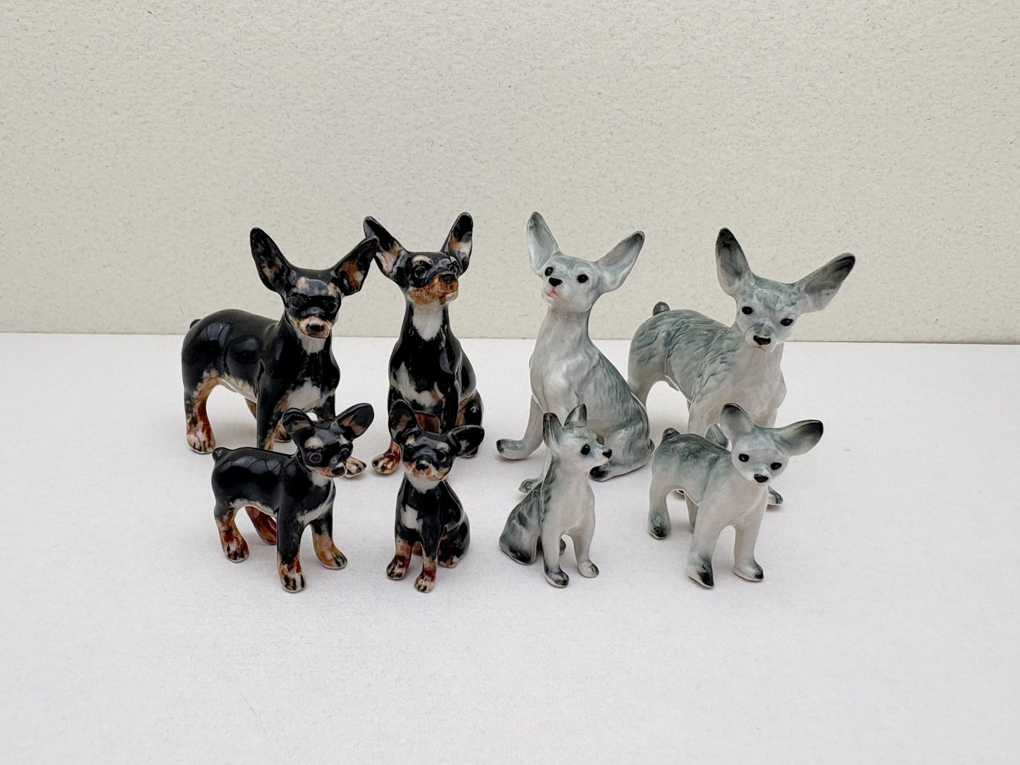 Mini Chihuahua Set