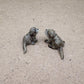2 Otters