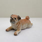 Classic Fawn Pugs