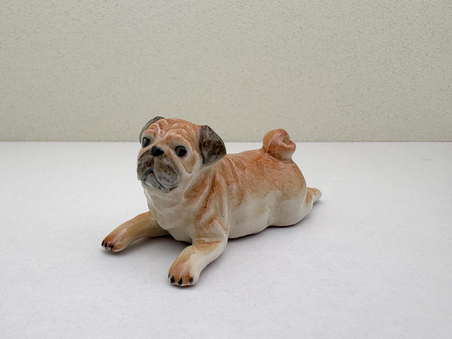 Classic Fawn Pugs