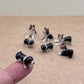 Tiny Miniature Dogs