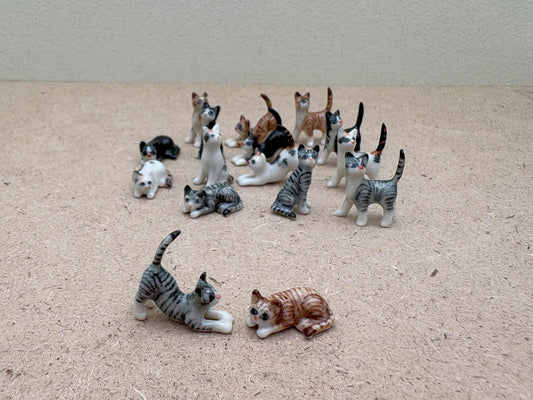 Kitten Set