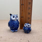 Indigo Blue Owl Set