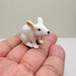 Tiny White Mouse