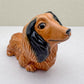 Charming Dachshund