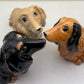 Charming Dachshund