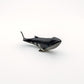 Minke Whale and Humpback Whale
