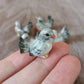 Tiny Pigeon Set