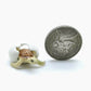3 Tiny Sea Baby Turtles emerging from eggs