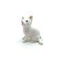 White Cat with blue eyes