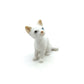 White Cat with blue eyes