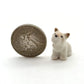 2 Tiny West Highland Terrier