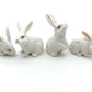 4 Rabbits