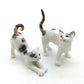 2 Stretching Cajoling Cats