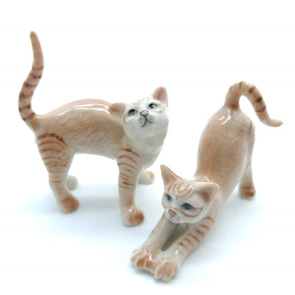 2 Stretching Cajoling Cats