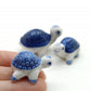 3 White Turtles Family